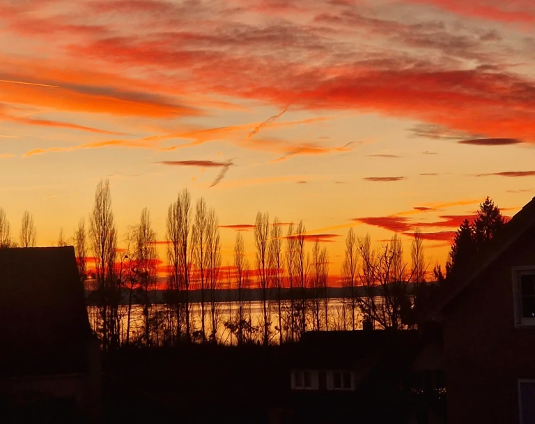 Warmer Sonnenuntergang über dem Bodensee mit orangefarbenem Himmel und Silhouetten der Bäume